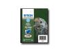 Epson
Epson T0795 - print cartridge